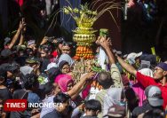 Ilustrasi hrebek gunungan | Foto Timesmedia.co.id
